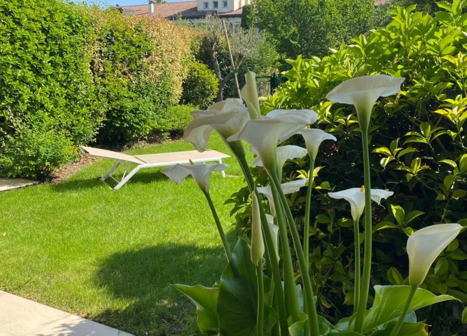Casa D'Arte Apartment Sirmione